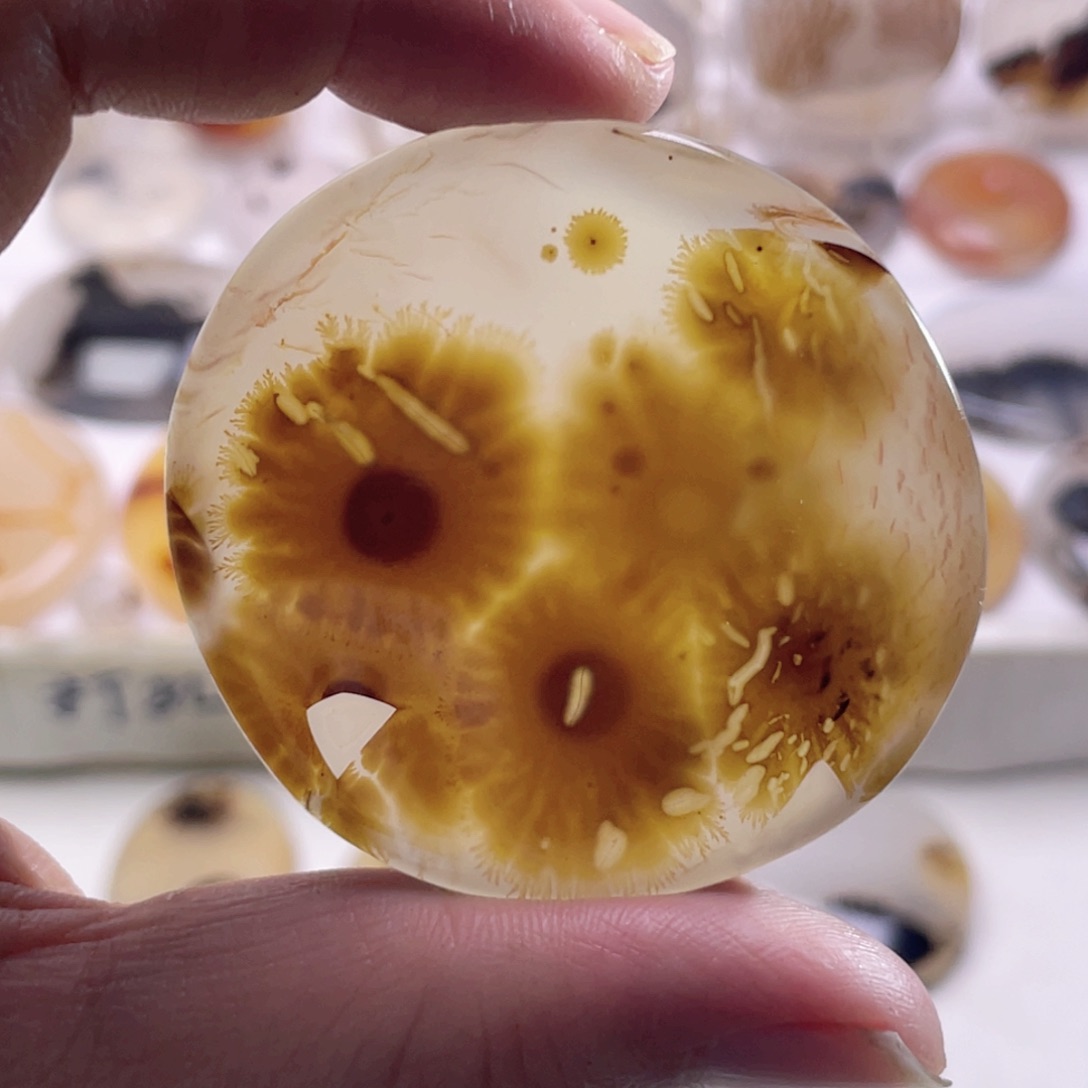 玛瑙/玉髓未镶嵌珠宝奇石