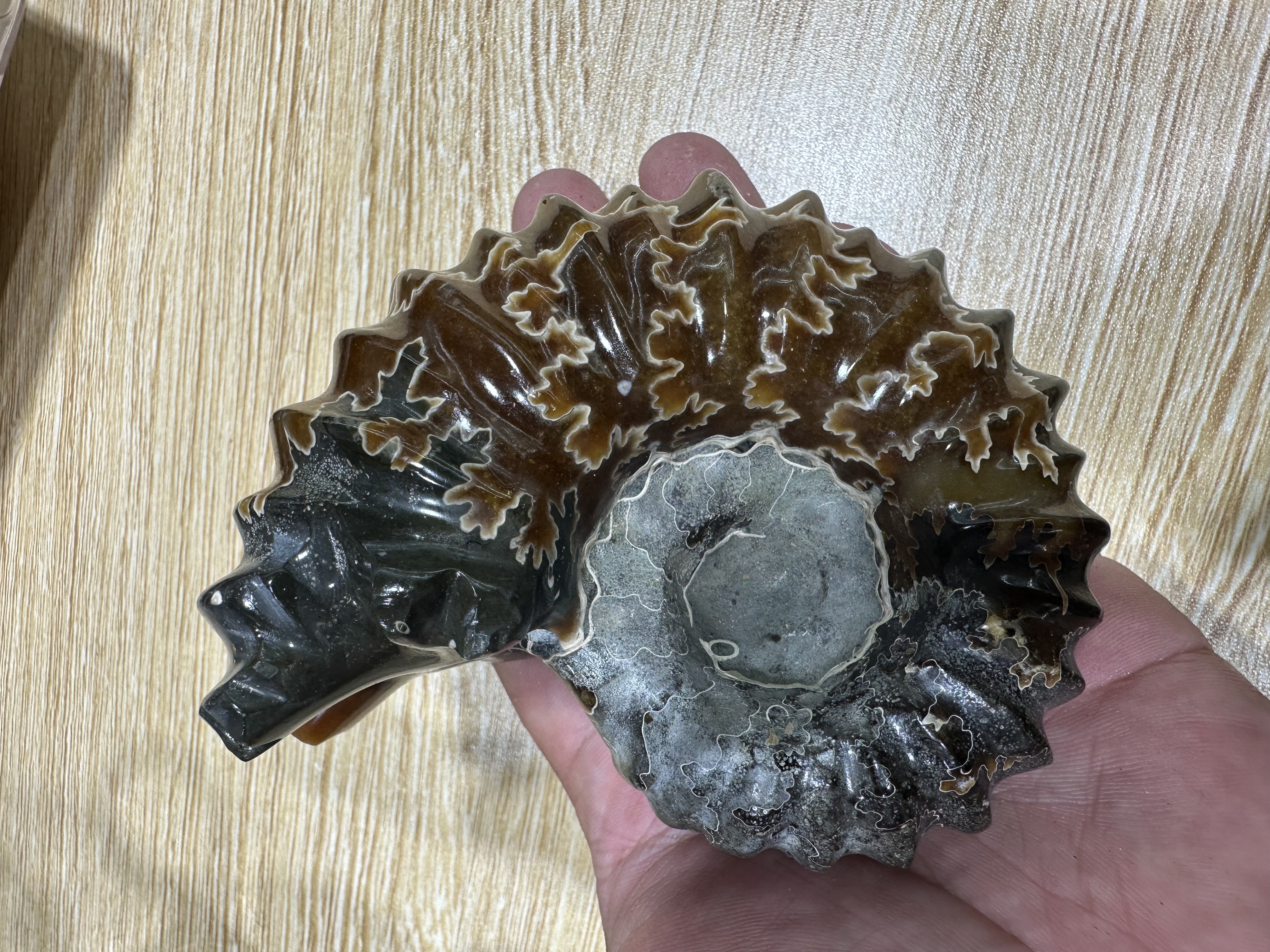 牛角螺化 手把件 把玩 摆件