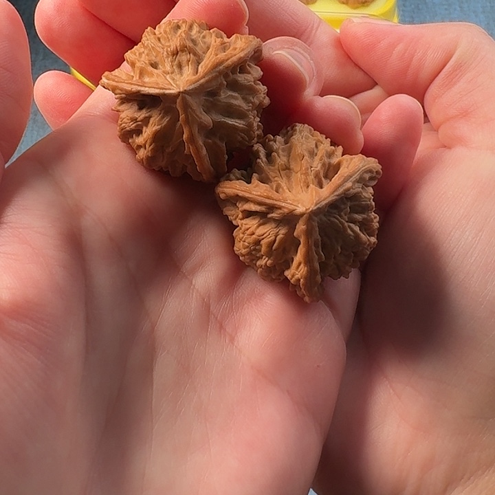 文玩核桃把件全品盘山34