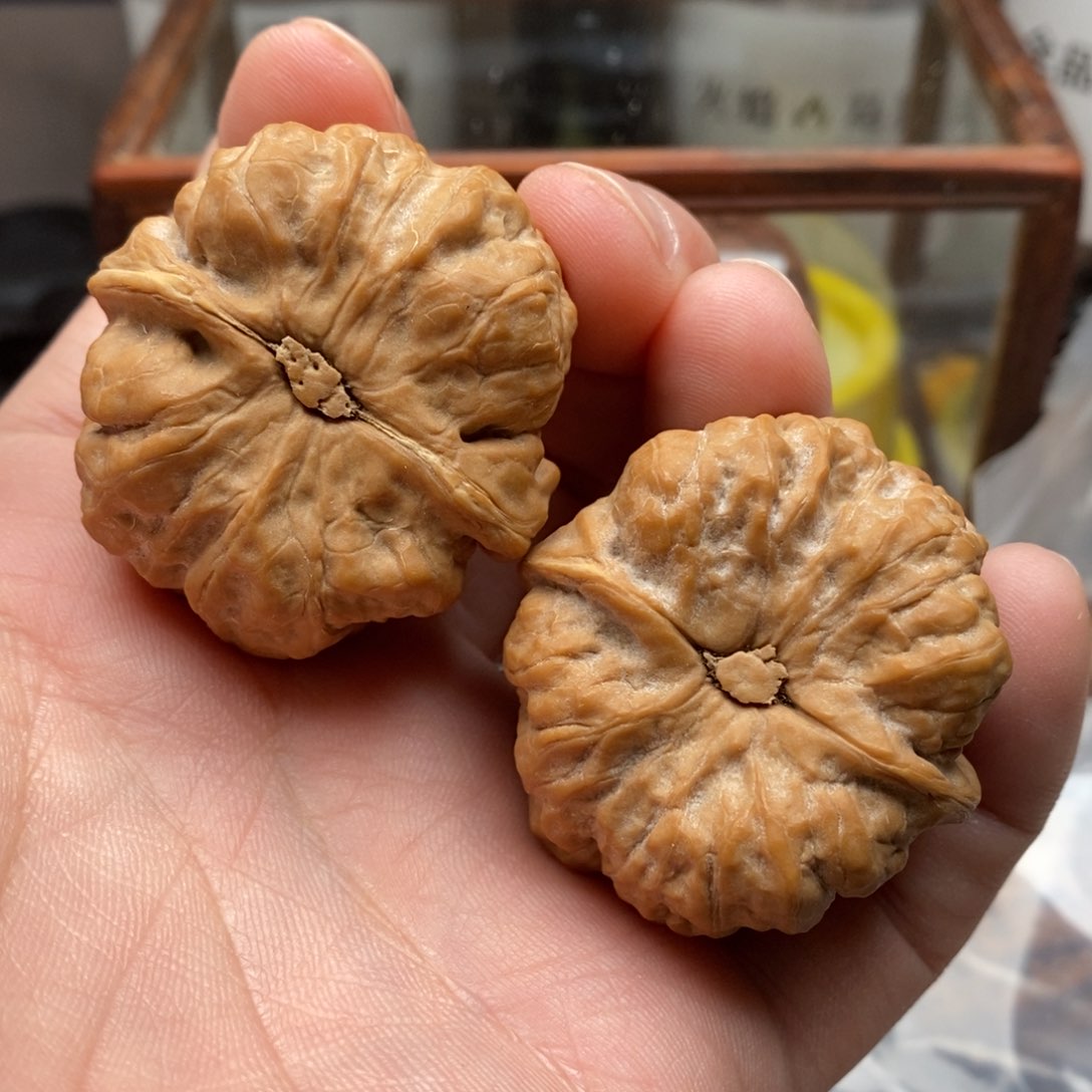 核桃把件尝***?三九蛤蟆头