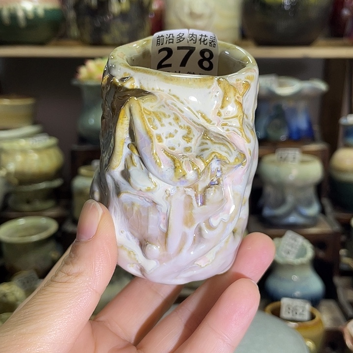 狼盆内口径4高度7