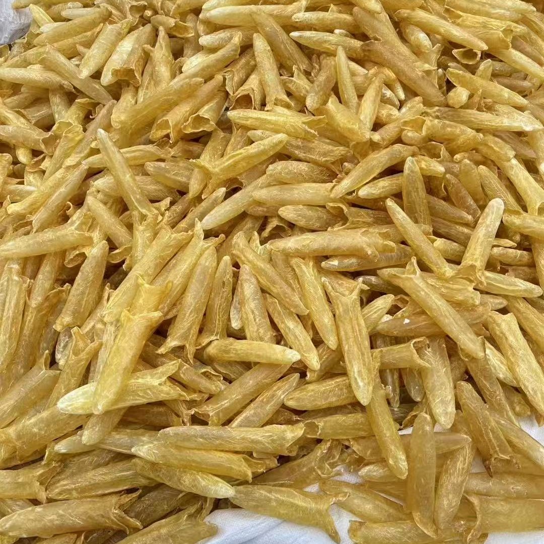 足干黄花胶炖汤炖奶日常滋补