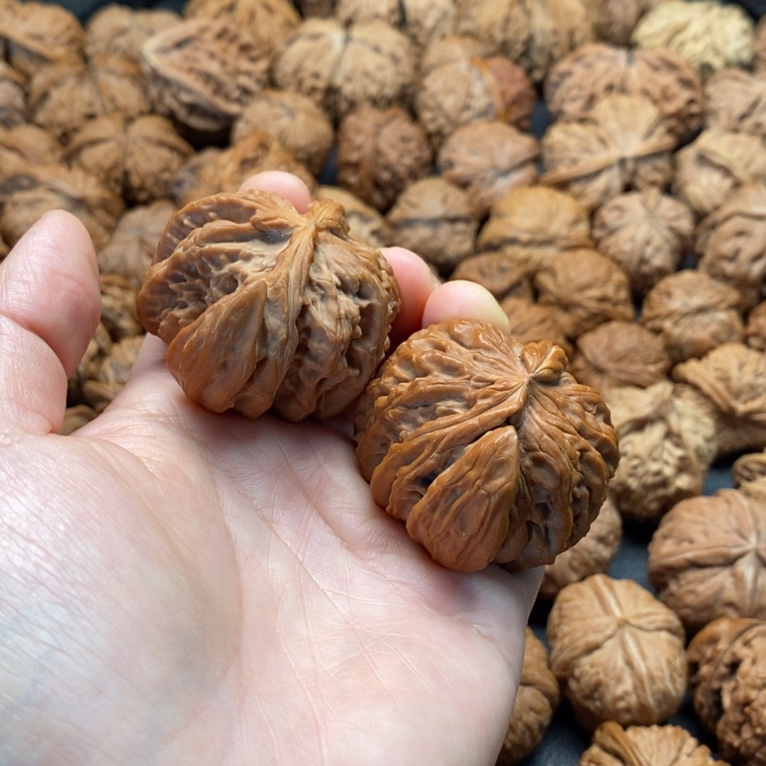 文玩核桃把件44白狮子角