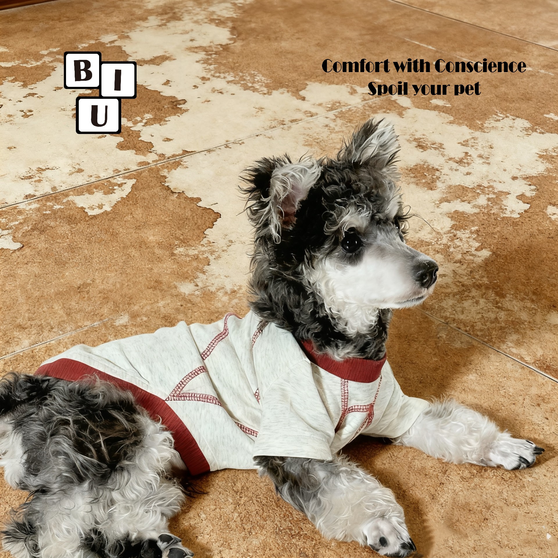 BIUBIU宠物狗狗衣服秋冬装西高地衣服小狗狗狗衣服秋冬款