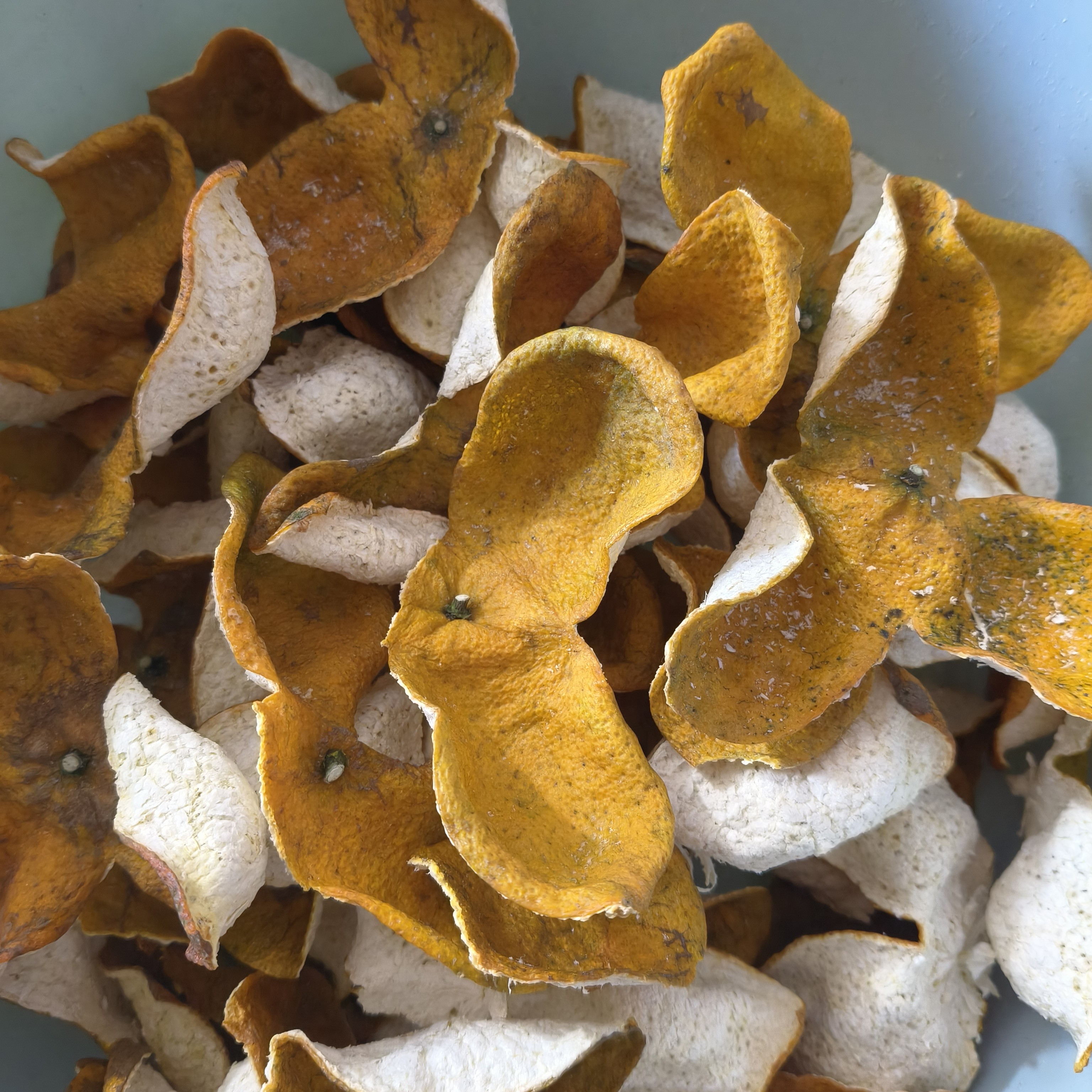 2025年老树生晒大红断皮带有台风疤，不会影响口感和转色