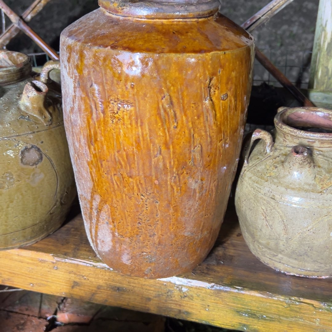 南***务种花一物一拍包邮