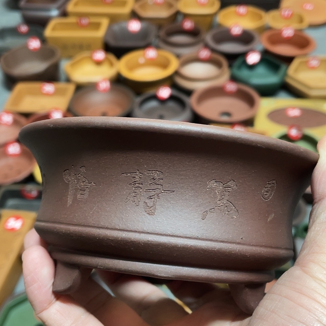 紫砂小盆11*4.5cmmmm