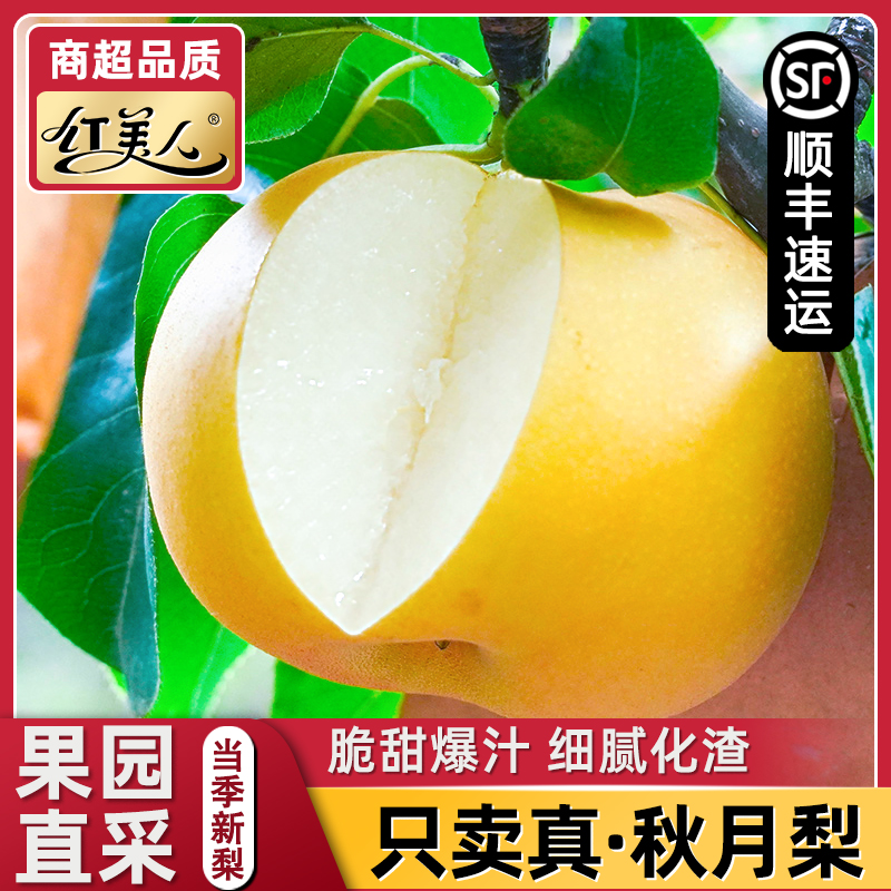 【保真！顺丰包邮】正宗山东秋月梨4.5斤 水果礼盒整箱新鲜水果