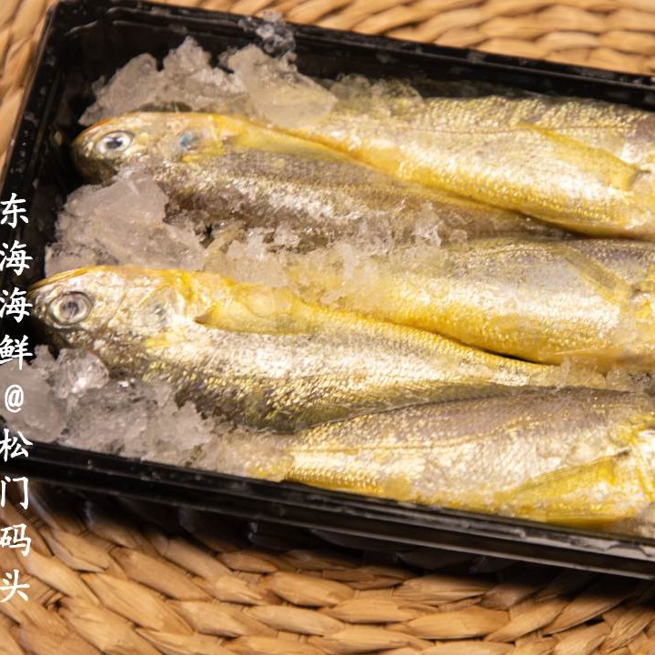 《东海码头》东海野生海捕小黄鱼 3斤顺丰 新鲜冷链   规格1斤5条