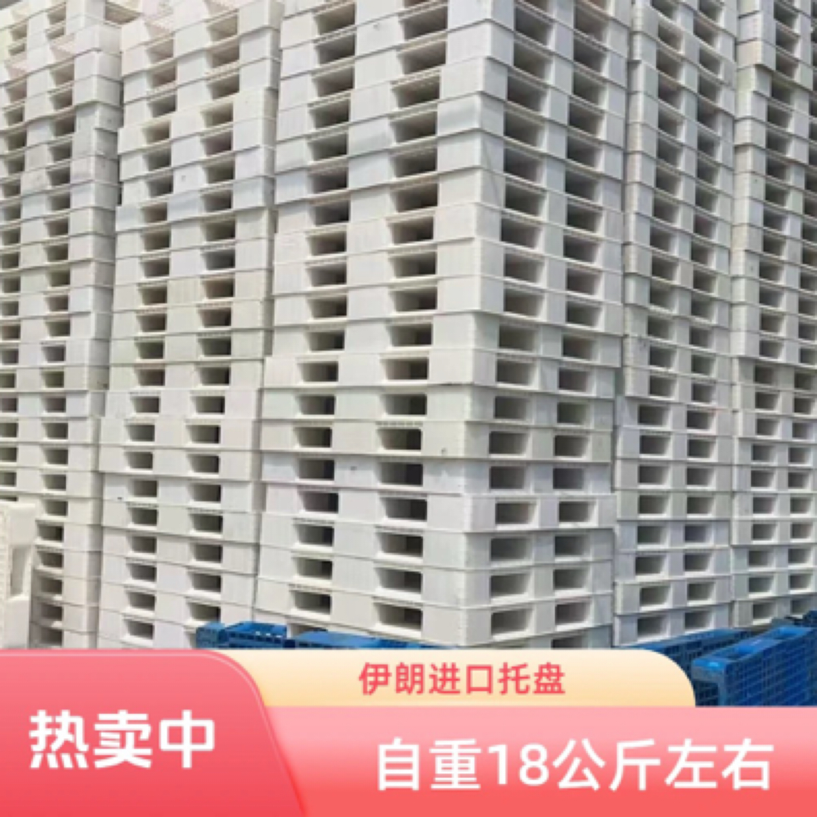 1.3*1.1进口托盘 塑料托盘 伊朗托盘 10个起卖