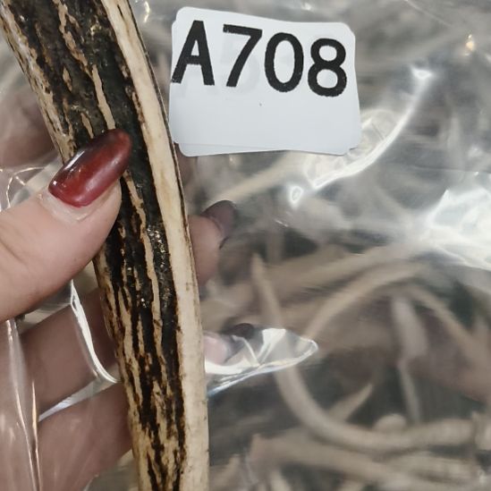 熊***大鹿角鹿角鹿角鹿角鹿角