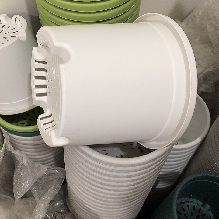 四季口17高15白10个无托