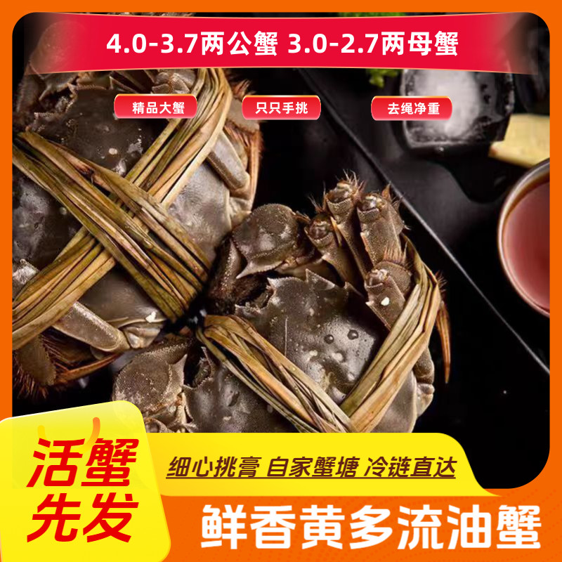 【活蟹】江苏大闸蟹公(4.0-3.7两)母(3.0-2.7两)6-10只 京东空运