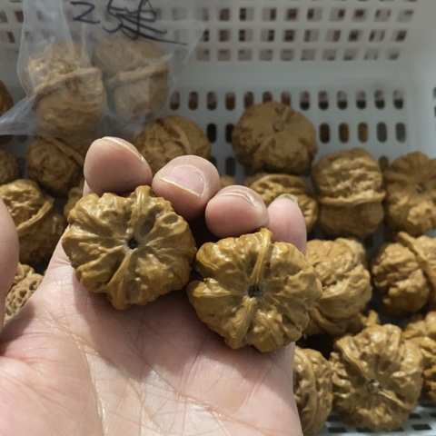 不***ㅤ把件文玩核桃哈哈哈