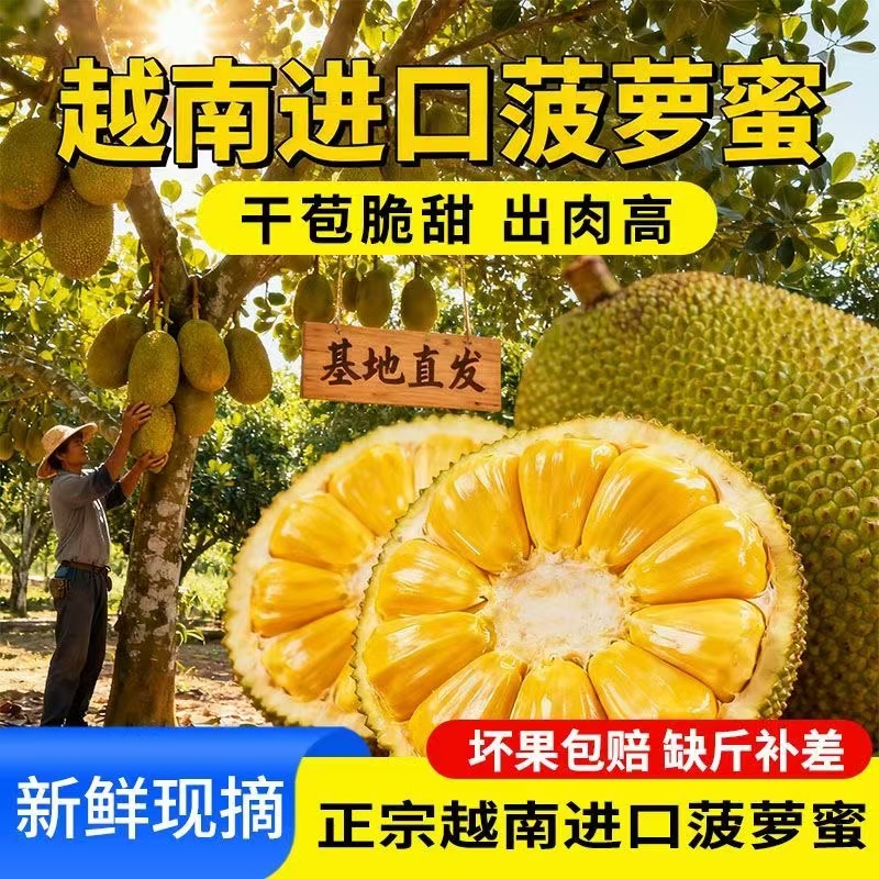 果切【整个约10斤】越南红心波罗蜜