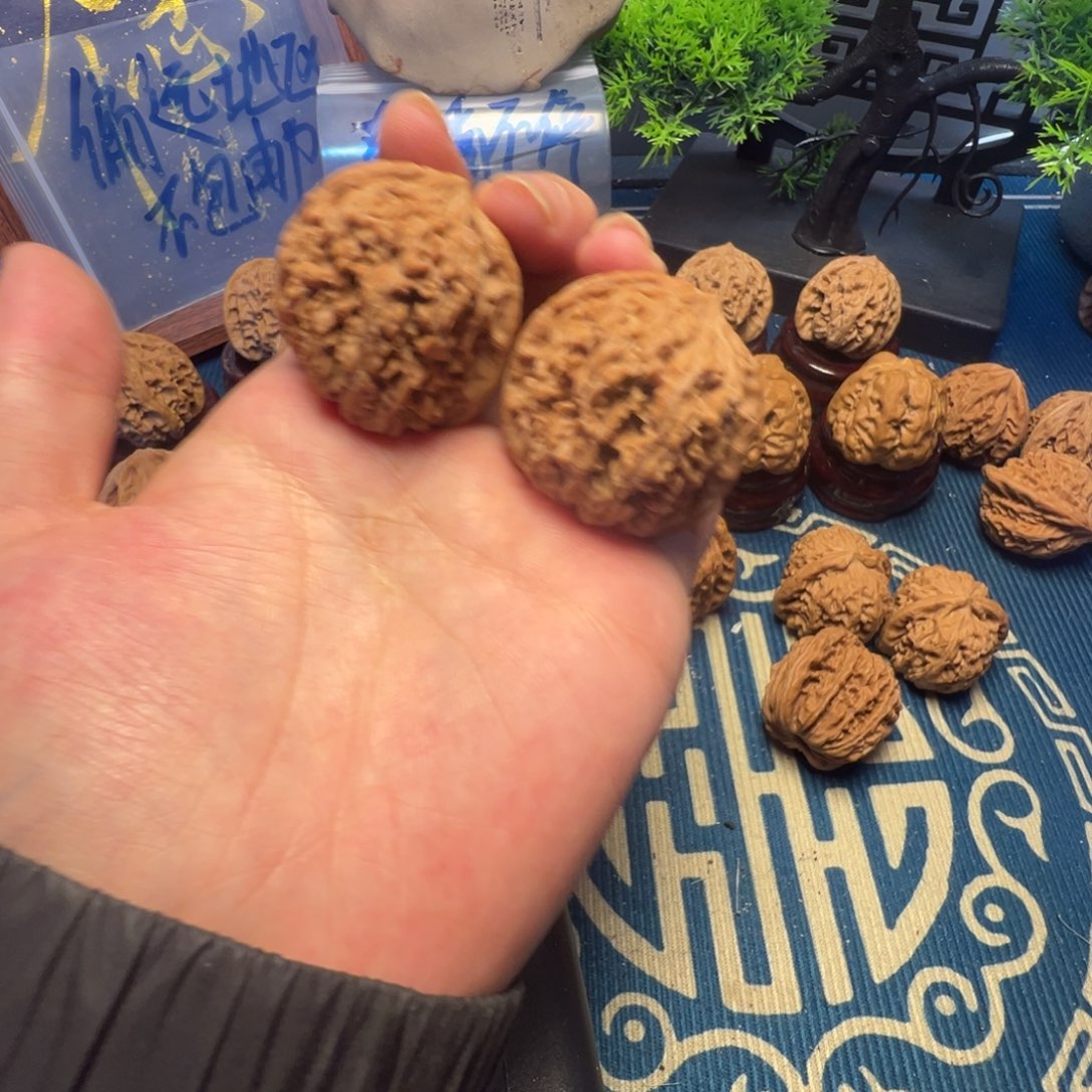 137狮子头全品38尺