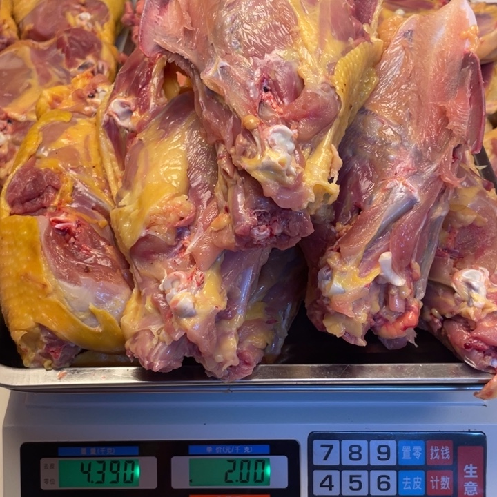 低温冷冻60天中国大陆食用农产品骨架