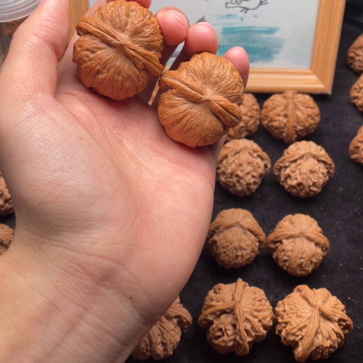 【闪购商品】文玩核桃把件全品元宝色差