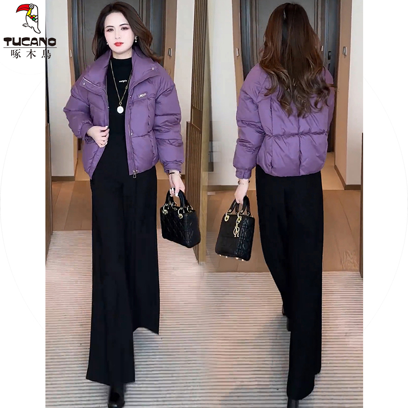 啄木鸟初冬女款厚棉衣时尚短款女新款气质小个子女款紫色加厚棉衣