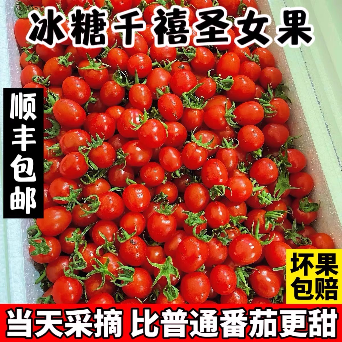 产地顺丰包邮新鲜现摘千禧圣女果当季水果酸甜可口可千禧小番茄