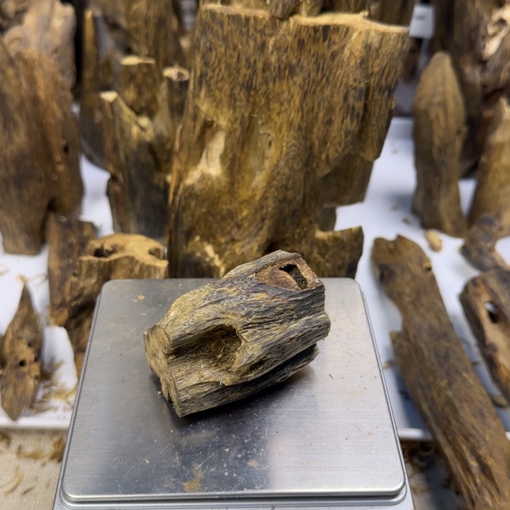 沉香金丝油虫漏香28克