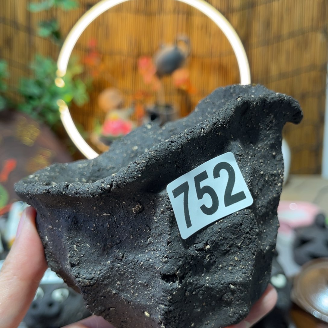 木村信弘柴烧保平