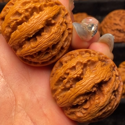 文玩核桃把件秦嶺山脈核桃