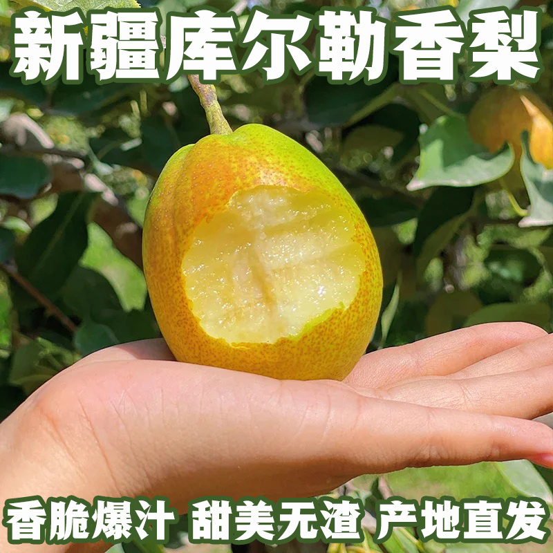 新疆库尔勒香梨香甜爆汁细腻无渣脆爽特产梨子新鲜采摘产地直发