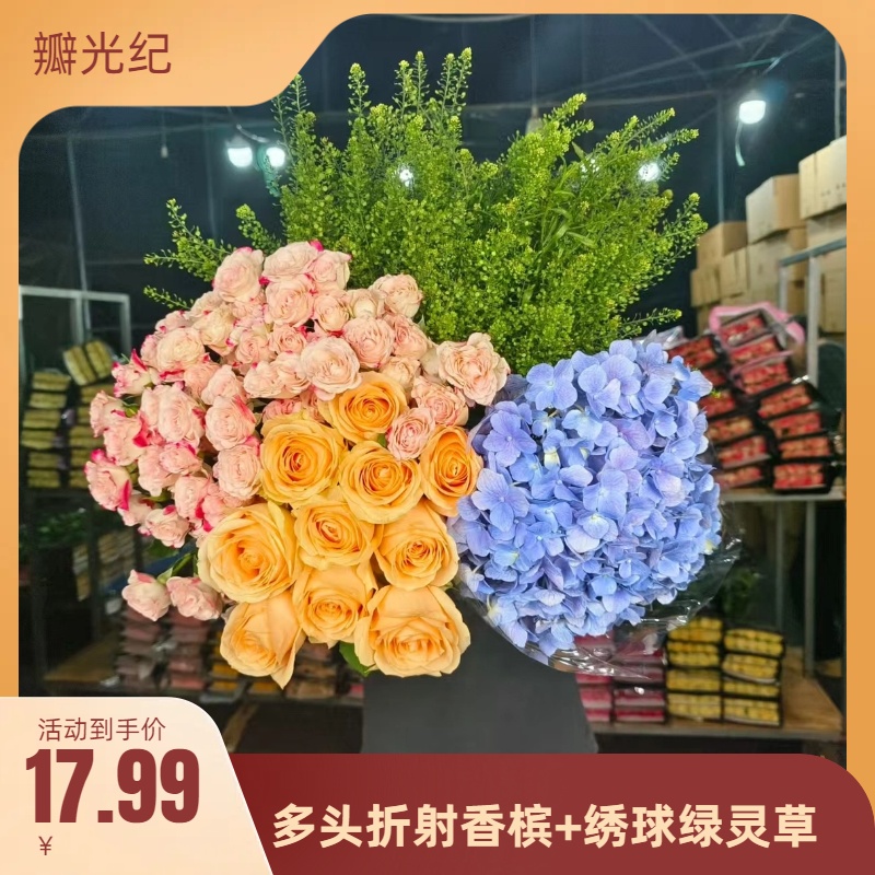 【香槟10支+折射10支+绣球1个+绿灵草】一单也顺丰包邮