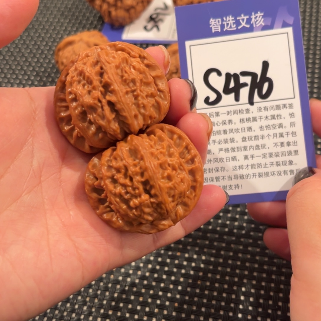 核桃S476号白狮子42尺