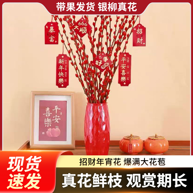 招财红色银柳干花真花鲜枝水培植物年宵花卉客厅室内装饰