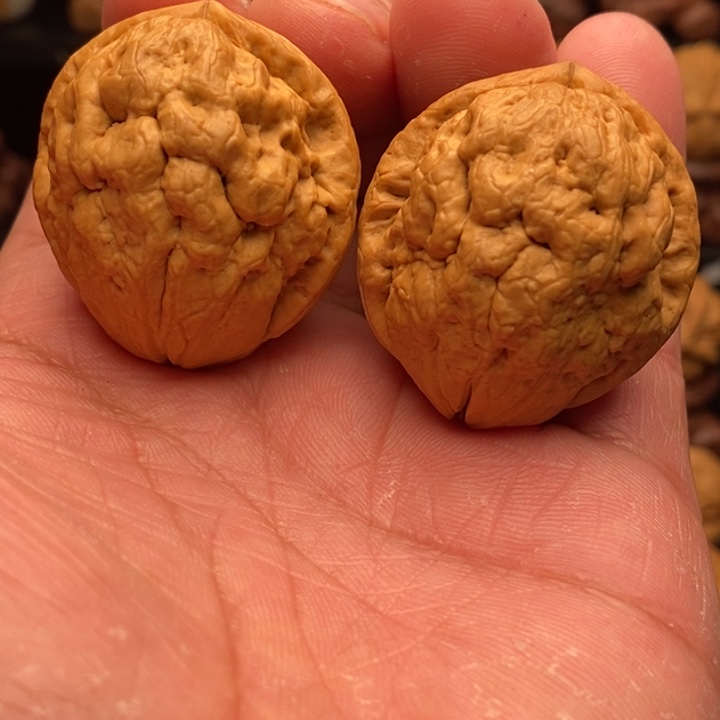 啊***…把件文玩核桃…………………………