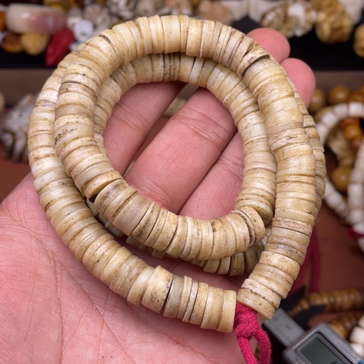 驼骨其他人工养殖