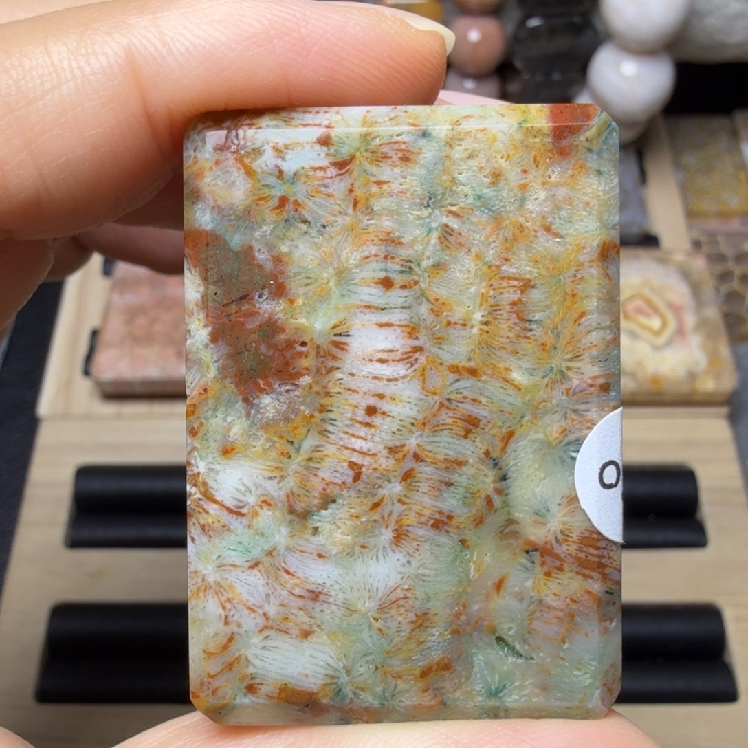 硅化玉未镶嵌够奇特：绿红凤尾，有纹裂特价