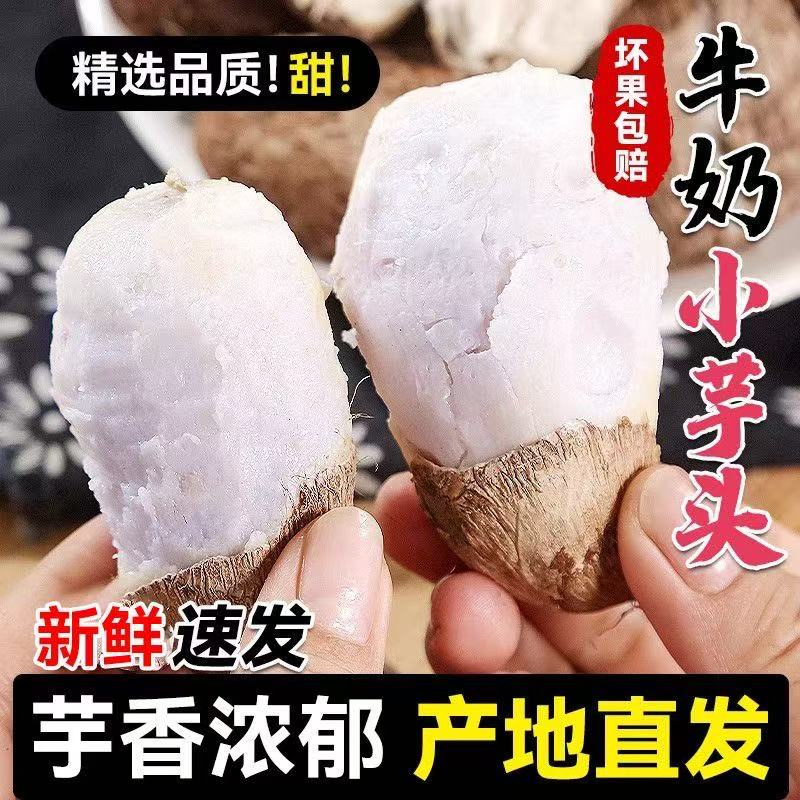 贵州牛奶芋头芋艿香芋新鲜应季现挖现发产地直销香甜软糯芋头