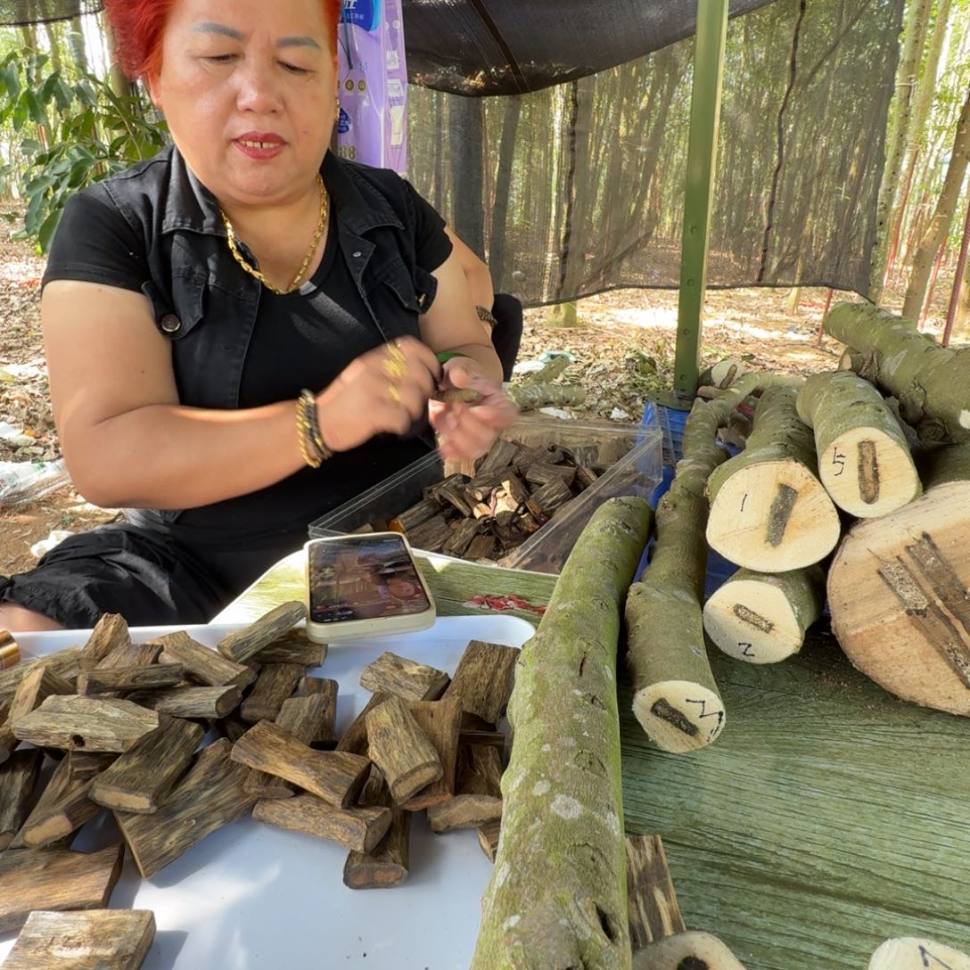 用***1线香奇楠沉香原木