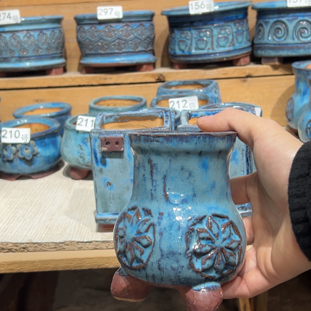 @***哥尚雅陶坊多肉花盆，待选盆