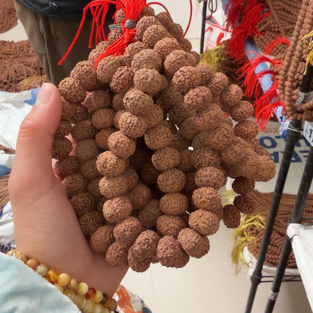 ****凯金刚菩提吊坠8瓣神秘 1号单圈10条