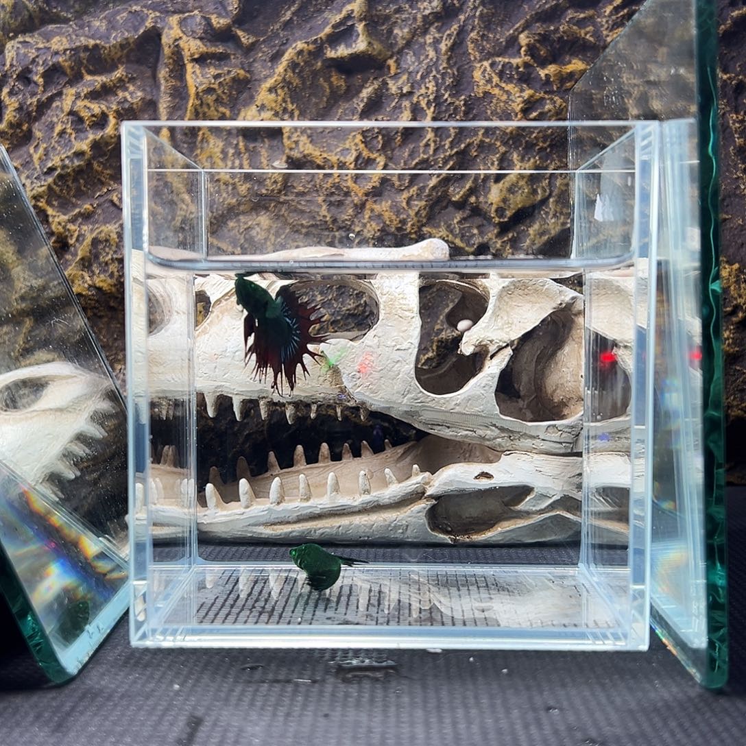 斗鱼精品精品精品