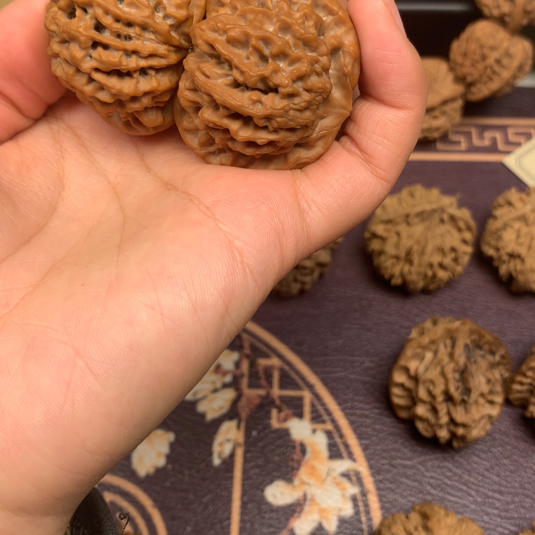 最**要秦岭山脉和黄土高原的