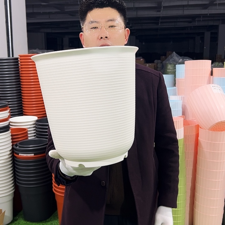 正品高陶口30高31白色5只无托