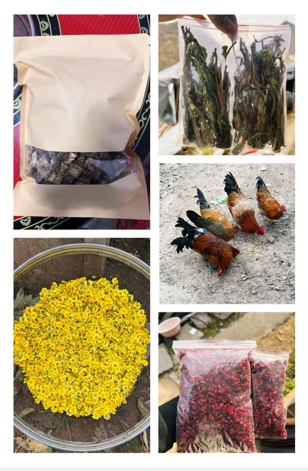嵩县伏牛山特色农产品