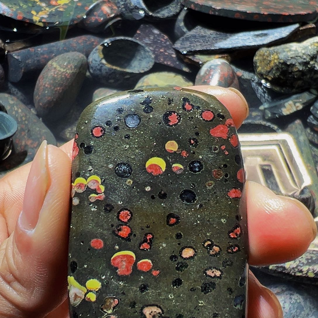 梅花玉鱼缸石茶周边不退不换