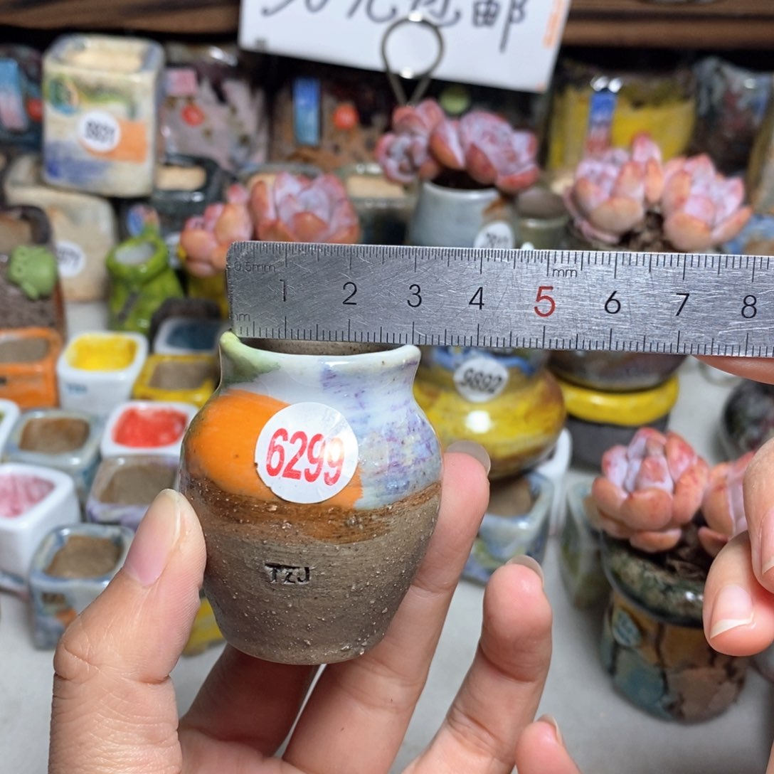 拍5送一个小礼物