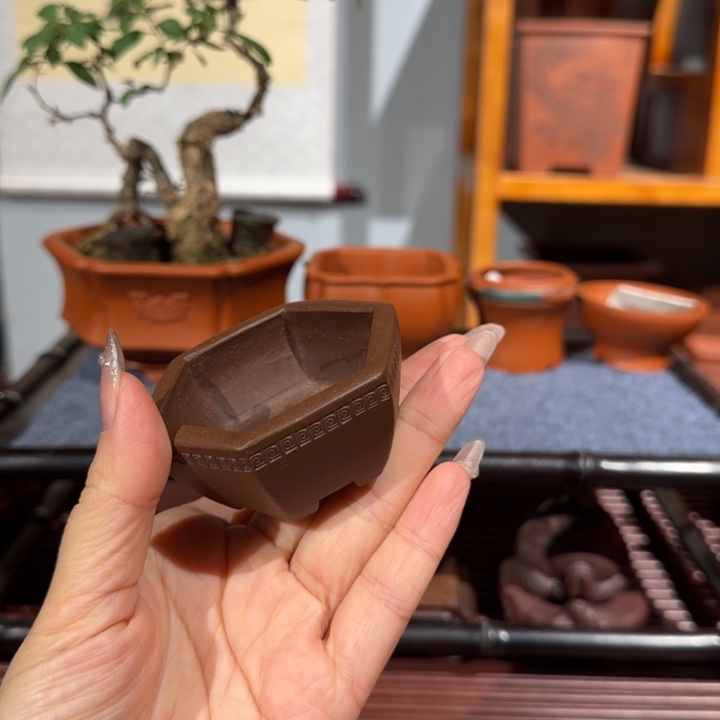 卡***戎花盆紫砂全手工制作