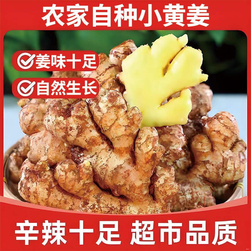 正宗农家小黄姜新鲜大块生姜高山生姜月子姜辛辣十足