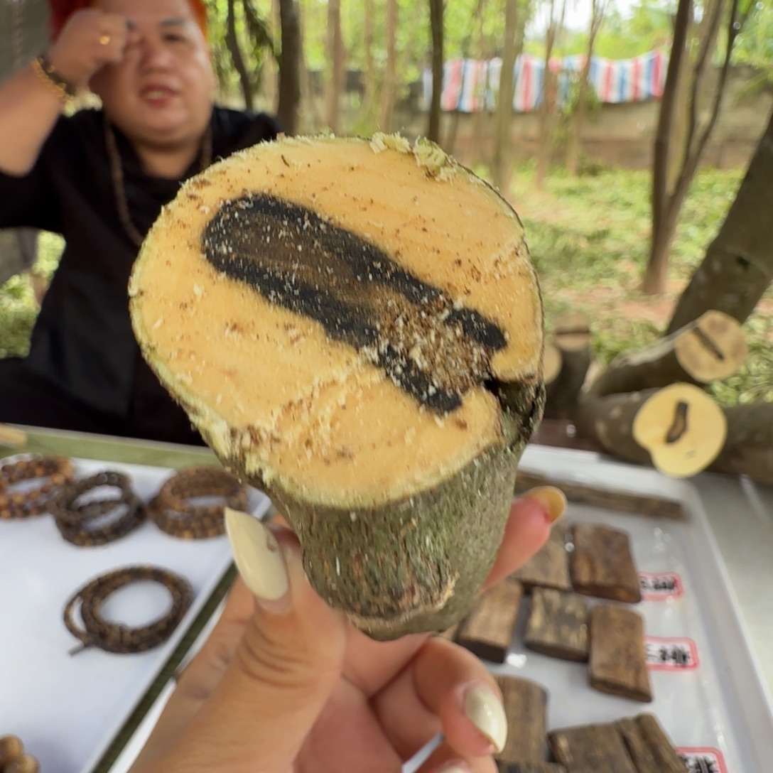 线香奇楠沉香原木