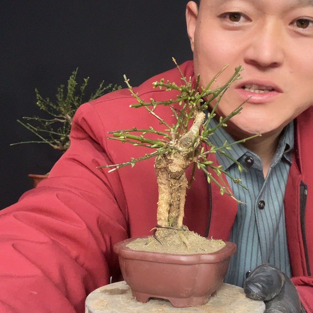 美****无花朵谢谢你的关心和支持