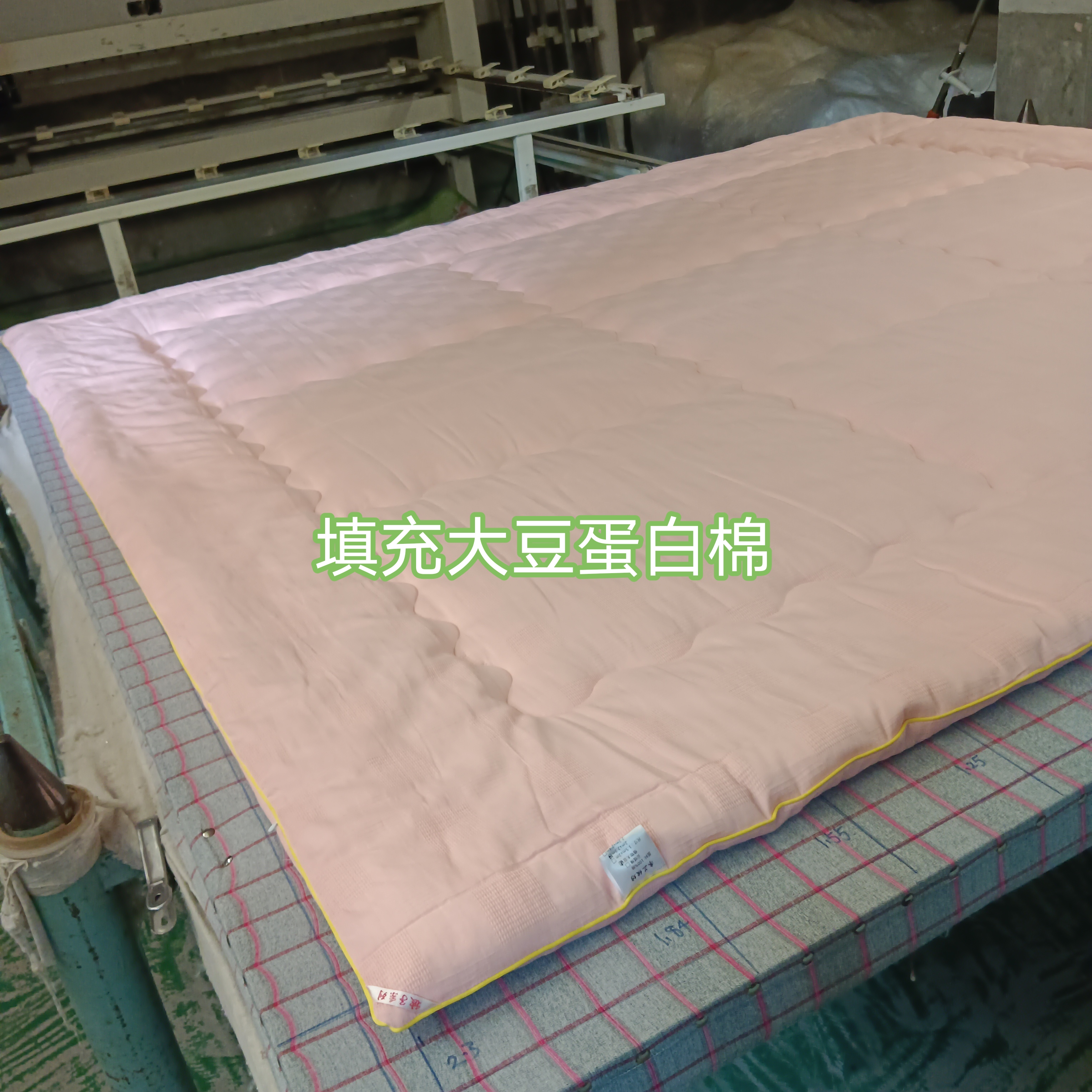 大豆蛋白棉被芯 纯棉水洗华夫格面料 抗菌防螨 透气柔软 贴身保暖