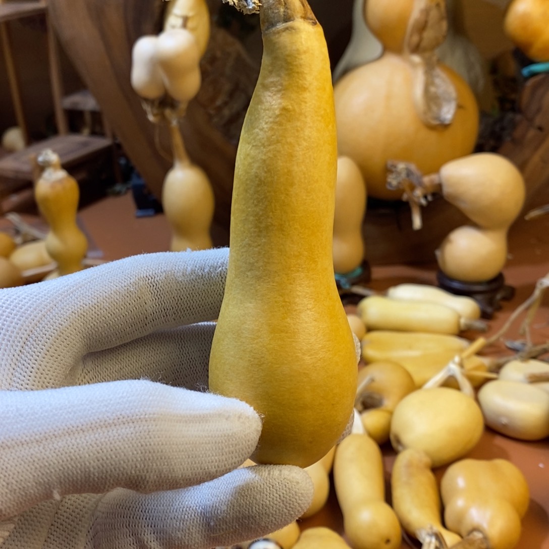 是***啊教练教练教练教练啦